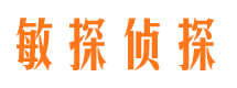 开县市侦探调查公司